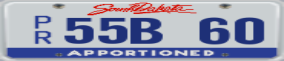Truck License Plate